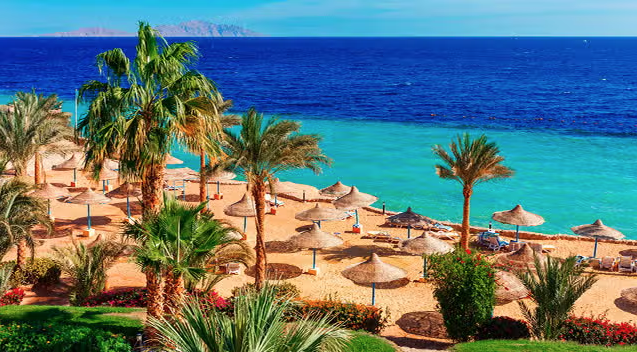 الغردقة - فندق جاز نيو سرايا بالمز